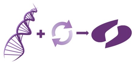 ДНК в сочетании с процессом постоянного развития